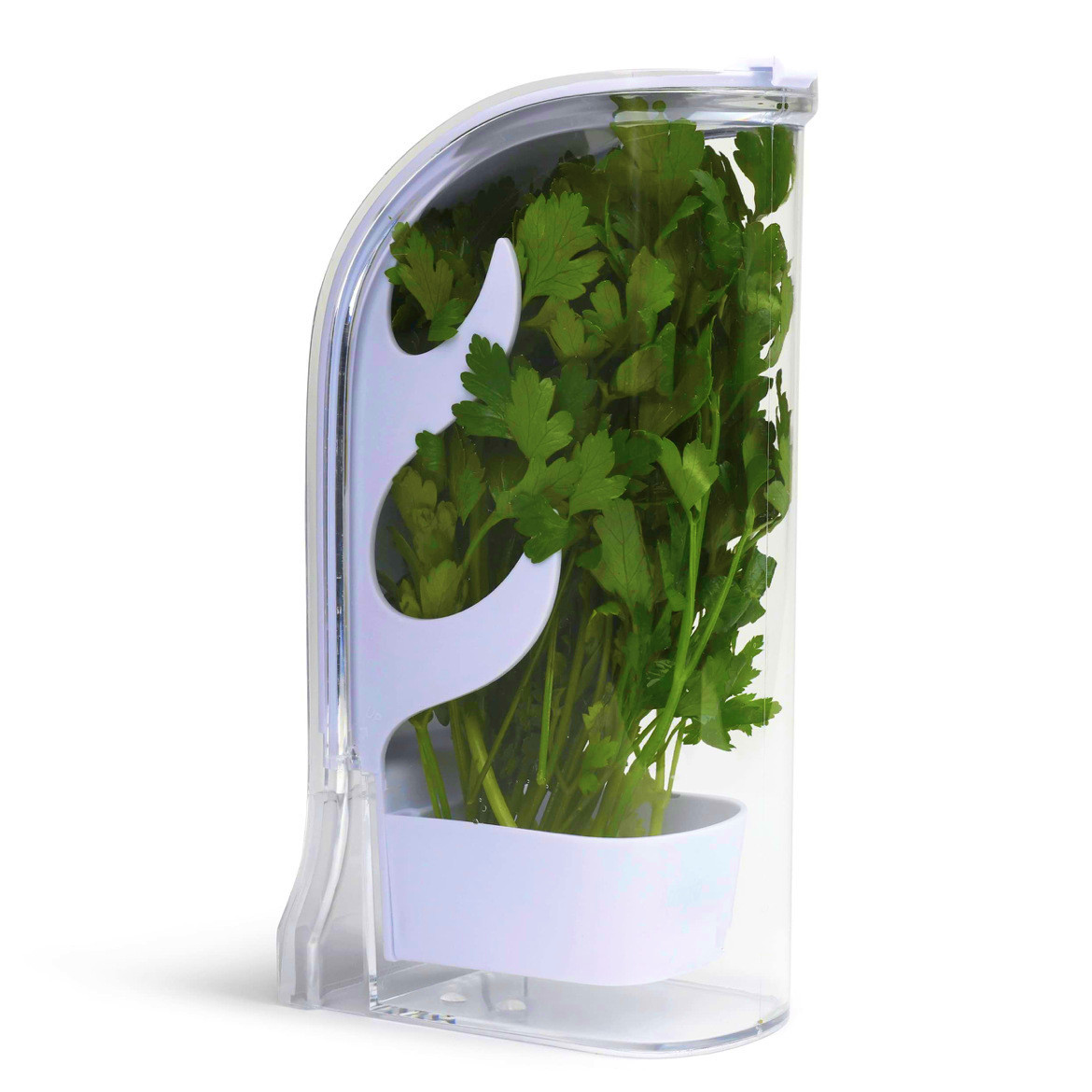 Herb Crisper Saver Container R - đánh giá và giá Herb Keeper Container