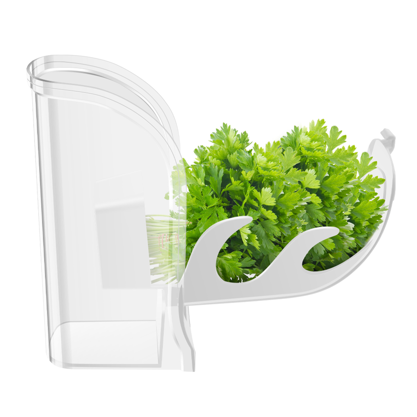 Herb Crisper Saver Container R - đánh giá và giá Herb Keeper Container