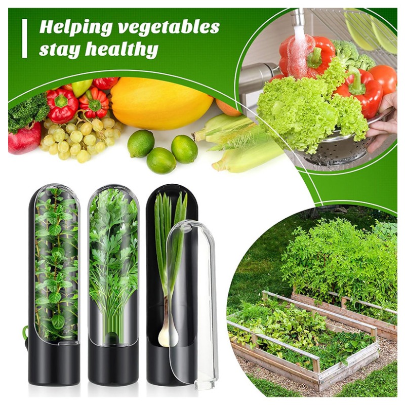 1/2/3PCS Herb Saver Storage Co - đánh giá và giá Herb Keeper Container